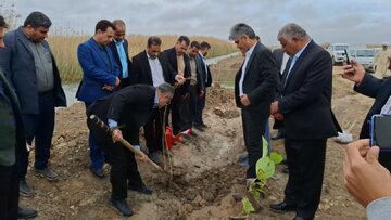 کاشت چهار هزار درخت در محور شادگان - دارخویین آغاز شد