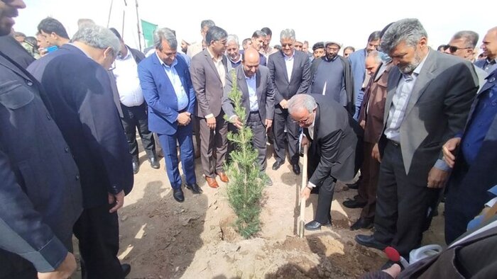 انقلاب سبز در زاهدان؛ ساخت بزرگترین پارک جنگلی دیار نخل و آفتاب با ۲۲ هزار نهال