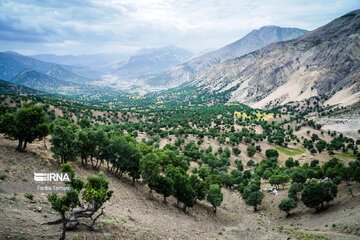 احیای جنگل؛ میان‌بُر توسعه گردشگری در غرب اصفهان