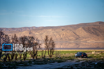 Early spring blossoms in Iran's Fars province
