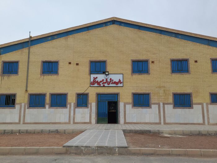 دل به جاده خاکی زده‌ایم به عشق ووشو+فیلم