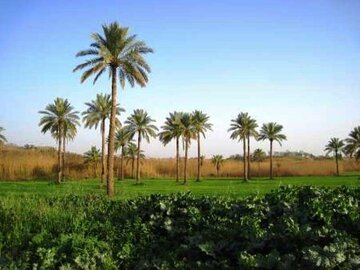 دیار کهن شیرین آماده استقبال از مهمانان نوروزی
