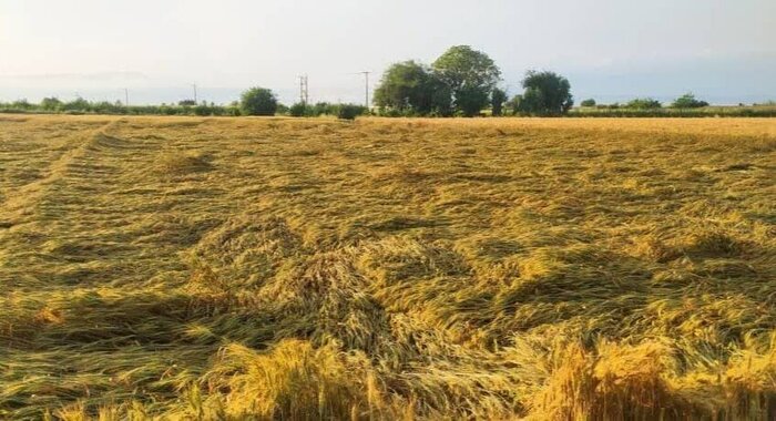 خوزستان در مسیر پیشرفت؛ سال۱۴۰۳ سرشار از حضور، تحول و امید