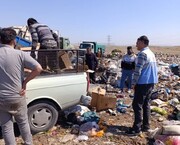 پنج تن مواد غذایی فاسد در دزفول معدوم شد