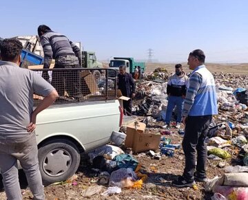 پنج تن مواد غذایی فاسد در دزفول معدوم شد