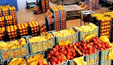 توزیع کالاهای اساسی ویژه نوروز بویین میاندشت در سه مرکز منتخب