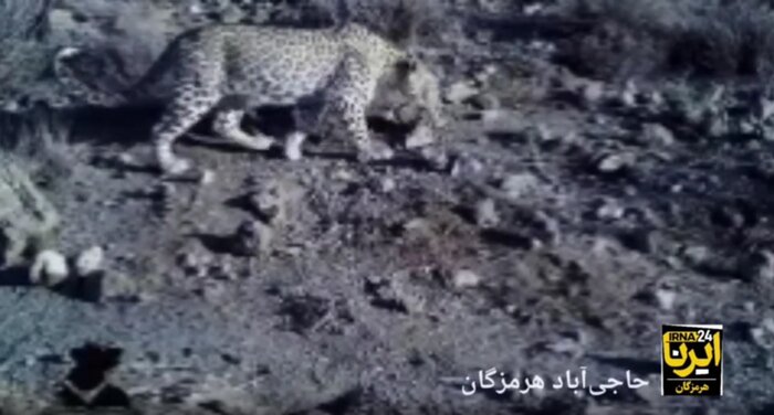 رویدادهایی که هرمزگان در سطح ملی و بین‌المللی پشت سر گذاشت