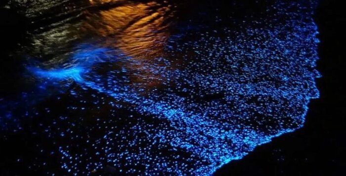 ساحل نقره ای؛ جادوی آبی و درخشنده جزیره هنگام