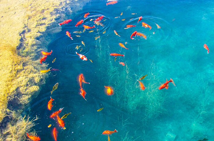 سفر به پارینهسنگی و دومین شهر آسیابی ایران که در گزارش مارکوپولو آمد