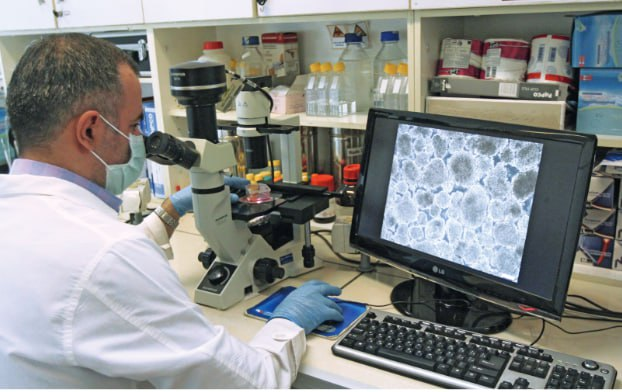 بیش از ۳۰ هزار زوج در مراکز رویان صاحب فرزند شدند/ مراجعه از ۲۳ کشور برای درمان