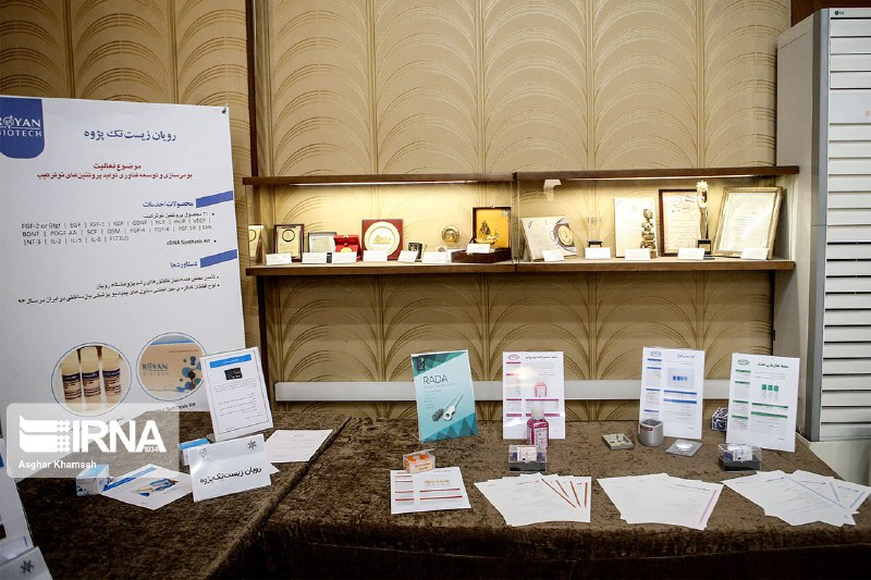 بیش از ۳۰ هزار زوج در مراکز رویان صاحب فرزند شدند/ مراجعه از ۲۳ کشور برای درمان