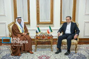 مستشار رئيس دولة الإمارات يلتقي وزير الخارجية الإيراني