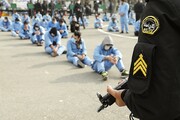 ۲۴۴ معتاد متجاهر در اردبیل جمع‌آوری شدند