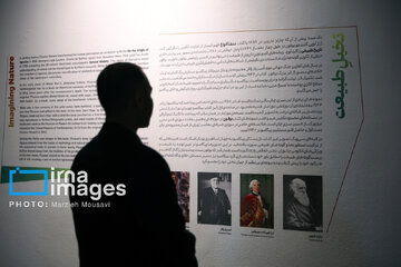 In photos: Pablo Picasso Exhibition in Tehran