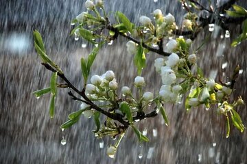 بارش‌های بهاری در اصفهان از دهه سوم فروردین آغاز می‌شود