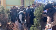 آغاز کمپاین نهال‌ شانی در پنجشیر؛ ۴۷ جریب زمین برای احداث باغ‌های سیب و گیلاس اختصاص یافت