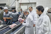 نظارت و بازرسی ها از صنوف فارس تشدید می شود