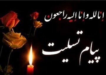 پیام تسلیت وزیر علوم به مناسبت درگذشت «برادران شکوهی»