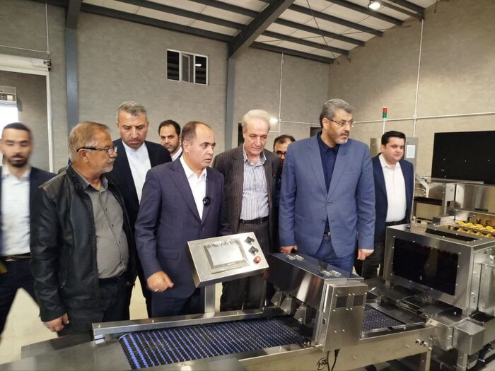 وزیر جهاد کشاورزی از ۲ طرح کشاورزی در ورامین بازدید کرد