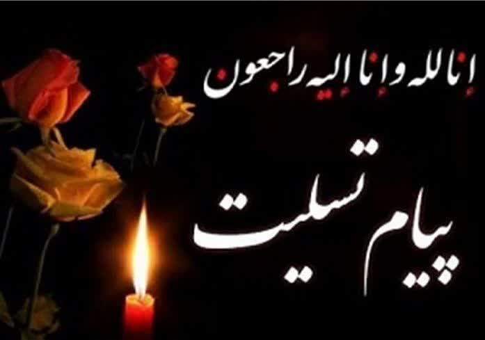 پیام تسلیت وزیر علوم به مناسبت درگذشت «برادران شکوهی»