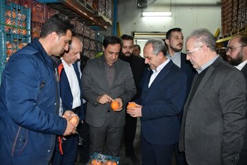ذخیره سازی ۹۰۰ تن میوه شب عید در آذربایجان شرقی/ توزیع از روز دوشنبه