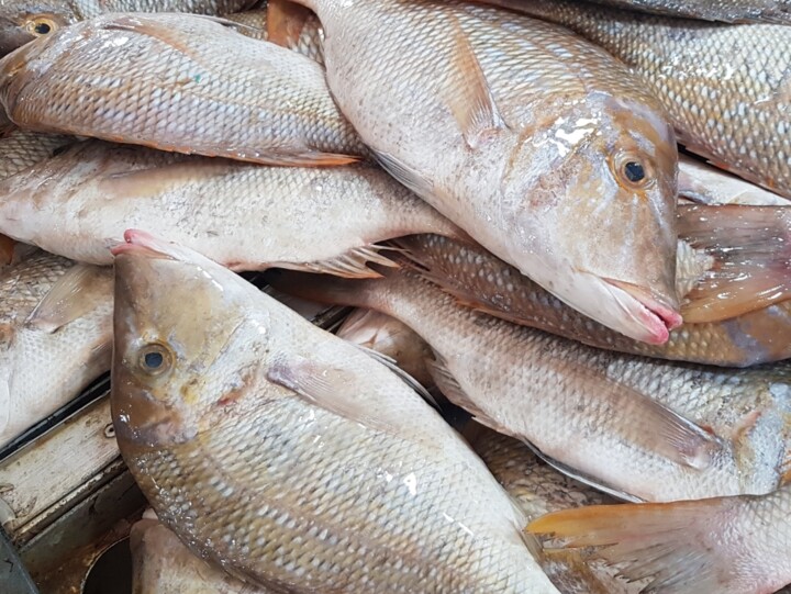 ترفندهای آشپزی برای خانمهای شاغل؛ صرفهجویی در وقت و انرژی