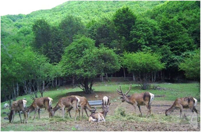 نوروز به یاد ماندنی در کنار ارس