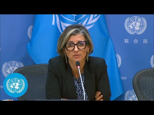 «تحریم» ابزاری سیاسی برای آمریکا؛ انتقاد گزارشگر سازمان ملل از رویکرد واشنگتن