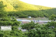 تجلی زیبای بهار در طبیعت بکر روستای «خوران» ایوان