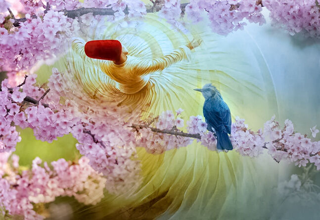 بهار در اندیشه مولانا بهار در اندیشه مولانا