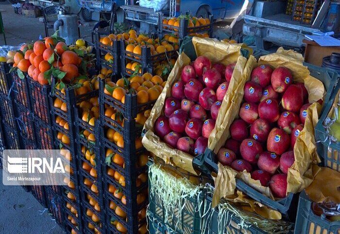 توزیع میوه شب عید در مازندران چه روندی طی می کند؟