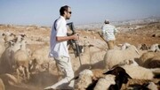 خبير سياسي: الاحتلال يستغل الصمت العالمي والدعم الأمريكي المطلق لسرقة أراضي الضفة