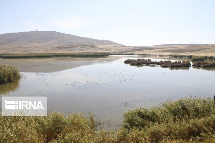 چهار شکارچی متخلف در پناهگاه حیات وحش کانی‌برزان مهاباد دستگیر شدند