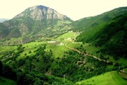 جنگل دیزمار ورزقان؛ زمردی درخشان در دل کوه‌های آذربایجان