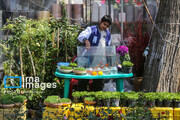 In photos: Flower market in Shiraz attracts huge crowd in last days of year