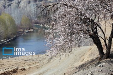 In photos: Spring blossoms in Iran’s Chaharmahal Va Bakhtiari Province