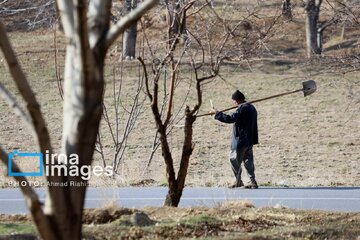 In photos: Spring blossoms in Iran’s Chaharmahal Va Bakhtiari Province