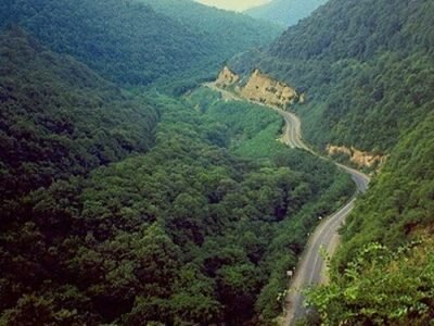 جنگل دیزمار ورزقان؛ زمردی درخشان در دل کوههای آذربایجان