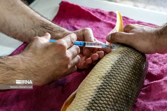 گیلان ۱۴۰۳ در یک نگاه