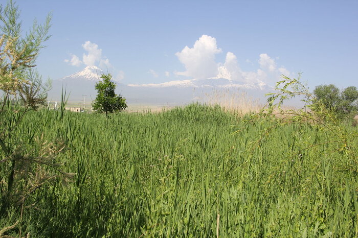 «چشمه ثریا» آذربایجان غربی، چشم انتظار مسافران نوروزی