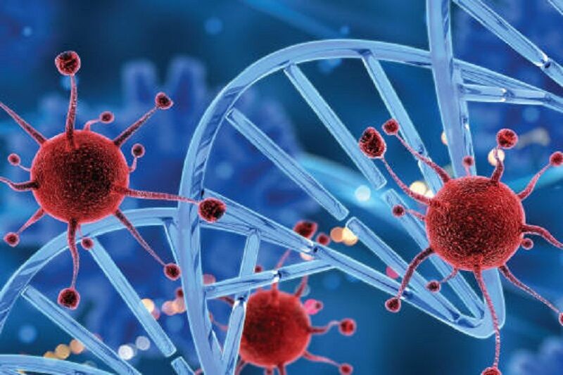 بررسی فعالیت ضدسرطانی ترکیبات جدید روتنیم در ایران بررسی فعالیت ضدسرطانی ترکیبات جدید روتنیم در ایران