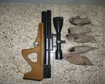 ۳۳ پرونده تخلف شکار و صید غیرمجاز در گچساران تشکیل شد