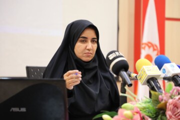 نماینده ایلام: همکاری دولت و مجلس کلیدحل مشکلات است
