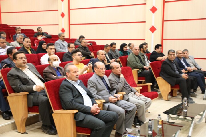 سارا فلاحی: همکاری دولت و مجلس، راهحل مشکلات کشور است