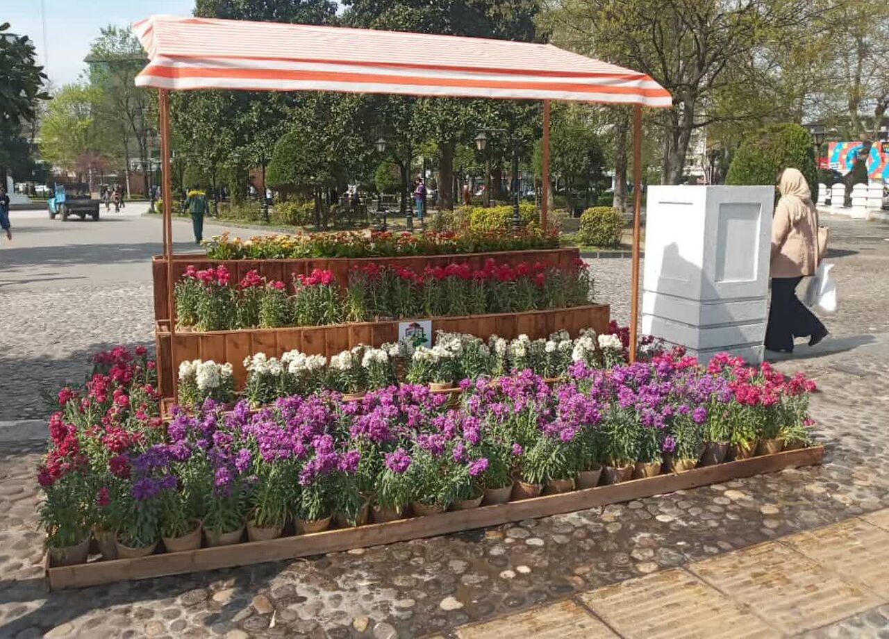 رشت با ۵۷۰ هزار بوته گل به استقبال بهار رفت