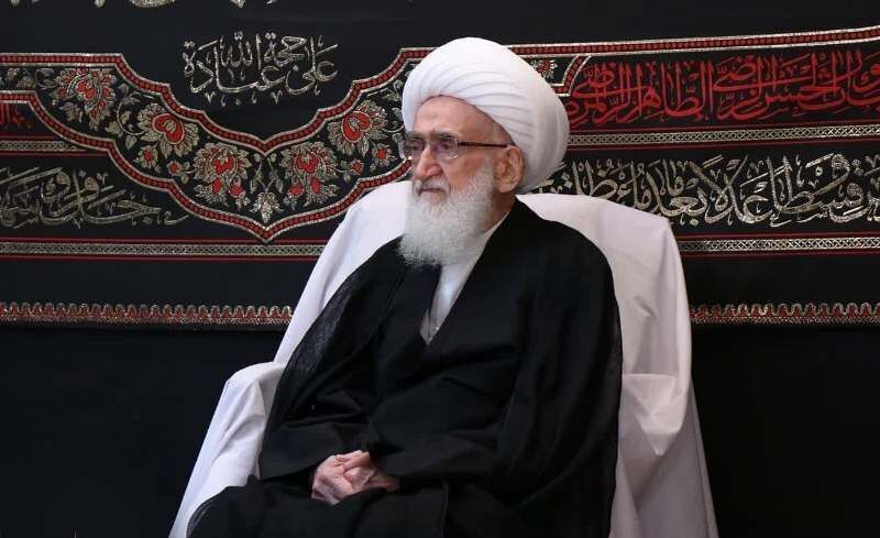 اية الله نوري همداني يدعو احرار العالم لدعم اهالي غزة والشعب اليمني