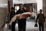 استشهاد 14 فلسطينيا خلال قصف صهيوني على قطاع غزة