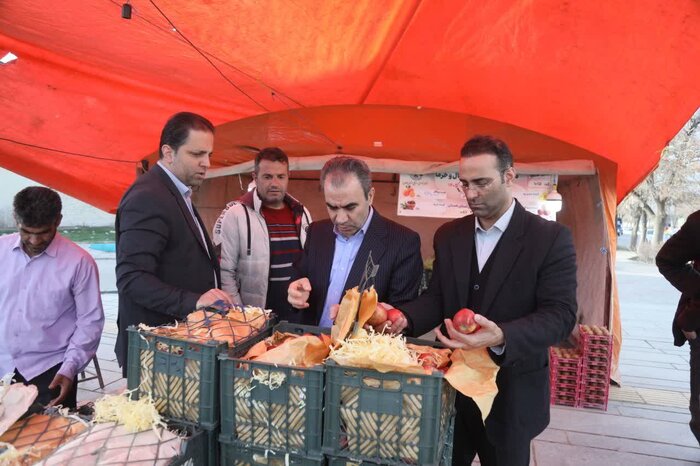 معاون استاندار همدان: میوه عید با کیفیت و ذخیره کافی تامین شده است