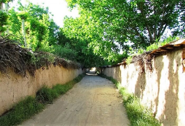 محله قصر دشت؛ بهشتی با باغهای زیبا در شهر شیراز