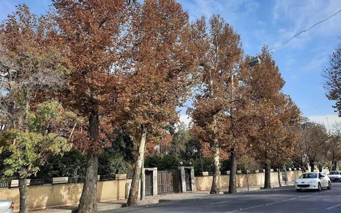 محله قصر دشت؛ بهشتی با باغهای زیبا در شهر شیراز
